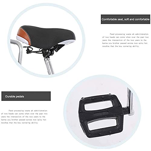 Triciclo para adultos de 3 ruedas, 20 pulgadas, con canasto, monocambio, para mujeres y hombres, para deportes al aire libre y compras miniatura 5