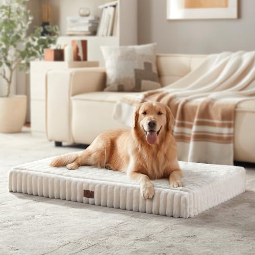 Dog-Bed-Extra-Large-Sized-for-Crate-Orthopedic-Pet-Pad-for-Dogs-with-Removable-Washable-Cover-Waterproof-Dogs-Beds-Up-to-70-lbs-Soft-Plush-Surface-Foam-for-Calming-36x27x3-Inch-Cream Dog Bed Extra Large Sized for Crate, Orthopedic Pet Pad for Dogs with Removable Washable Cover, Waterproof Dogs Beds Up to 70 lbs, Soft Plush Surface & Foam for Calming, 36x27x3 Inch, Cream - Image 1