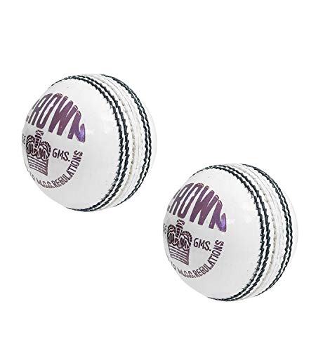 Balle de cricket blanche lot de 2 en cuir pour un rebond régulier