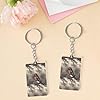 OUAGHBX Barn Swallow in Graphite Acrylic Keychain, Keychains with Chain And Jump Rings,Small Lightweight Bag Purse Charm for Keys Backpack, Birthday Gift for Women Men #1