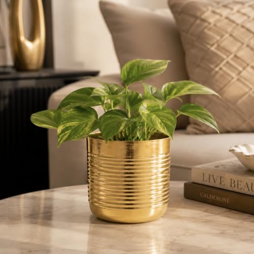 Image of Gold Ribbed Metal Planter Pot for Indoor Living Room Tabletop Decorative Flower Planter Pot for Home Decoration and Gifting (5 inch Height)