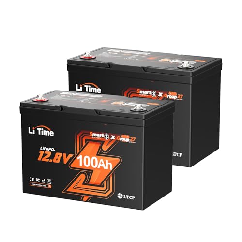 Litime 12V 100Ah Group 27 Bluetooth LiFePO4 Battery, Lithium Battery, Built-in 100A BMS with Low-Temp Protection, Max. 15000 Cycles, Perfect for RV, Solar System, Trolling Motors etc. (2 Pack)