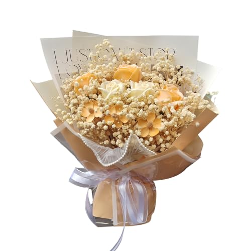 MAIBED  o J[l[V  񂰑ܕt \[vt[ u[P t[AWg o^Cf[ ̓ v[g (C) [sAi]