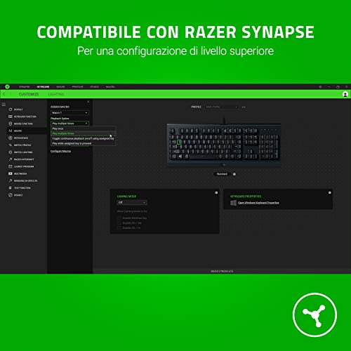Cynosa Lite - Tastiera da Gioco Essenziale, Programmabile, Illuminazione RGB, Tasti di Gioco, Roll-Over a 10 Tasti, Resistente agli Schizzi, Layout IT | Nero - Tastiera gaming - Immagine 2