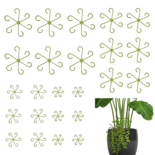 SAIIURV 24 Pièces Tige de Plantte D'intérieur, Réutilisable Support de Tige de Plante Grimpantes Accroche Plantes D'Intérieur Supports pour Stabilisation et Soutien des Feuilles (24PCS)