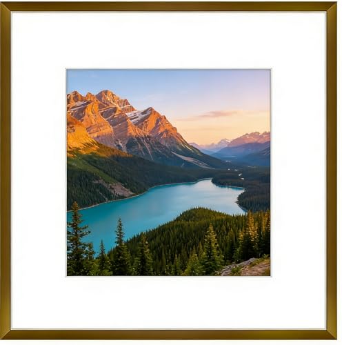 Acovy 12x12インチ 写真フレーム アルミフォトフレーム マット仕上げ 8x8インチ 12x12インチ 正方形ポスターフレーム 高解像度強化ガラス付き 壁用メタルフレーム 壁掛けフック付き