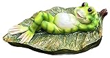 WQQLQX Statue Skulptur Statue schwimmende Frosch Frosch outdoard Dekoration Figuren terrasse teich Handwerk Dekoration hydroponic blumentopf Skulpturen