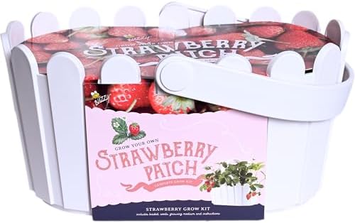 Buzzy Seeds Strawberry Grow Kit, White Picket Fence Planter, Indoor