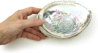 1pc Colorful Fashionable Large Abalone Shell Bowl,4-4.5 Inch Exquisite Natural Sea Shell Smudge Bowl for Sage Burning and Incense for Decor,Display and Great Gift,Incense and Incense Holders