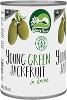Nature's Charm junge grüne Jackfruit in Lake – Salzig eingelegte, vegane Köstlichkeit – Ideal für Salate, Currys und Suppen – 1 x 565 g