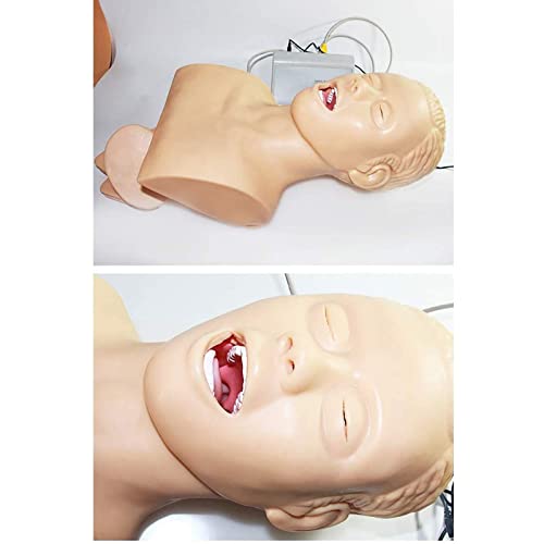 Psvod Teaching Model, 11 Intubation Manikin Training Simulator - Airway Management Trainer - Intubation Head Teaching Study Model Manikin Anatomy Biology Exquisite #TOP2