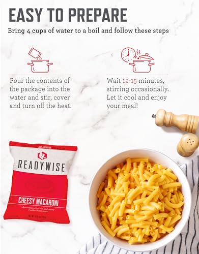 Image of READYWISE Emergency Food Survival Supply Favorites Bucket, 100 Servings