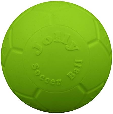 Jolly Pets Medium Soccer Ball Floating-Bouncing Dog Toy, 6 inch D...