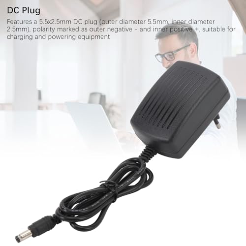 Adaptador de corriente 6V para iluminación LED doméstica y consolas con clavija de 5,5x2,5mm 6