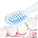 HOUDERCO Electric Toothbrush for Adults Speed Vibration Built Battery USB Charging Boys and Girls Toothbrush Travel