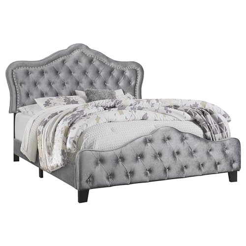 Coaster Home Furnishings - Bella - Wood - Upholstered Panel