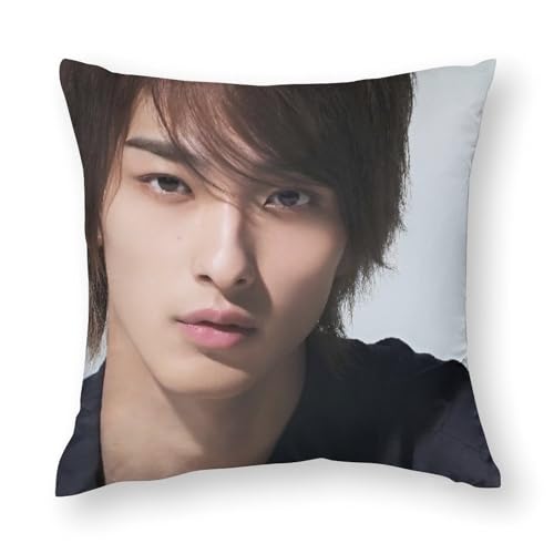 ���l����20 ������ �N�b�V���� ���J�o�[ 18"x18" ���ʃv�����g �ӂ�ӂ� ���� �G���O�b�Y ���K ���� �v���[���g �I�t�B�X �����Q�� �ƒ�p �Y���Q������ �ԗp