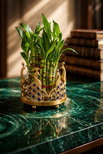 Image of Lucky Bamboo Plant 2-Layer in Round Glass Pot with Decorative Metal Stand - Feng Shui Indoor Plant for Home & Office, Vastu Good Luck Plant, Low Maintenance Air Purifying Gift