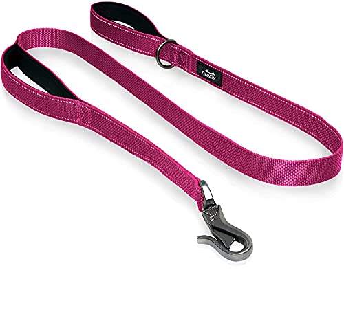 TwoEar Correa para perro de 1.8 m de largo, con dos asas acolchadas, resistente, 2 correas de asa para perros grandes y...