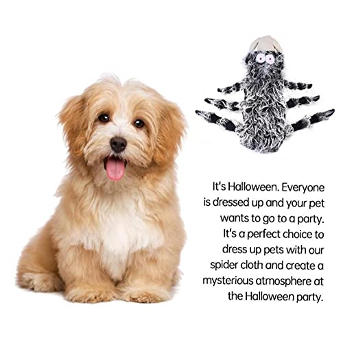Halloween Pet Spider Kostuum Puppy Kat Cosplay Dress Up Outfit Harness Kleding Props M - Image 5