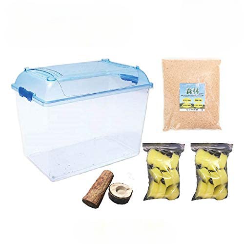 ☆ヘラクレスオオカブト【155mm】☆大型血統成虫ペア【飼育ケース付