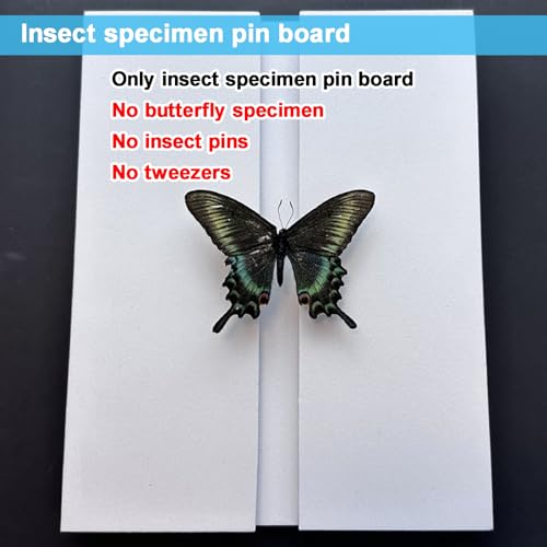 Image of 3 Pcs Insect Mounting & Spreading Kit - Adjustable EVA Foam Boards, Reversible Posing Tools for Butterflies & Insect Collections, Wide Spacing Design, Perfect for Bug Collectors to Preserve Specimens
