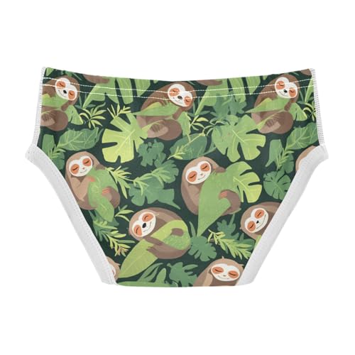 Wusikd Sloths Sleeping Boys' Underwear Cotton Leaves Boys Briefs Soft Toddler Underwear 2T2