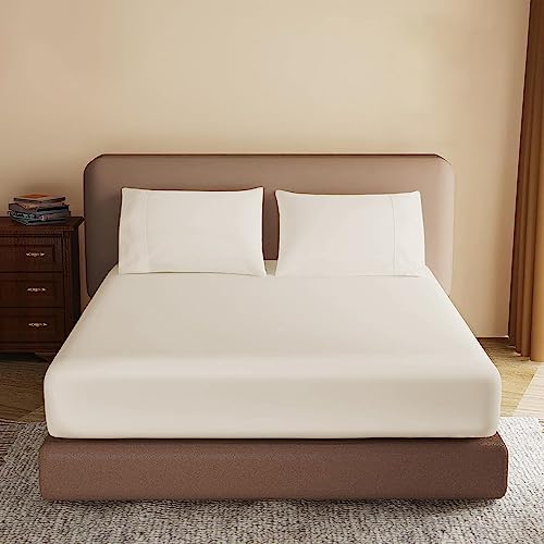 My Home Store Fitted Sheet 100% Egyptian Cotton 300TC Hotel Quality 30 cm Fitted Bedsheets (Cream, Double)