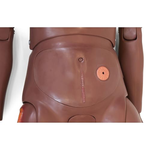 3B Scientific Patient Care Manikin BASIC (dunkler Hautton)