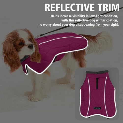 Image of Fragralley Dog Coat Medium, Waterproof Dog Jacket with Warm Fleece Lining, Adjustable Reflective Dogs Winter Coat, Turtleneck Pet Coats for Cold Weather (Rose Pink M)
