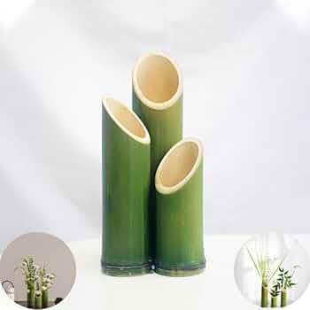 竹材花瓶 Amazon.co.jp: AOKWAWALIY 3個 竹 花瓶 下 ポット 盆栽