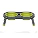 Dexas Popware for Pets Double Elevated Pet Feeder, Large, Gray/Green