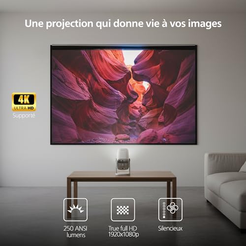 Vidéoprojecteur Philips Neopix 244 - vue 4