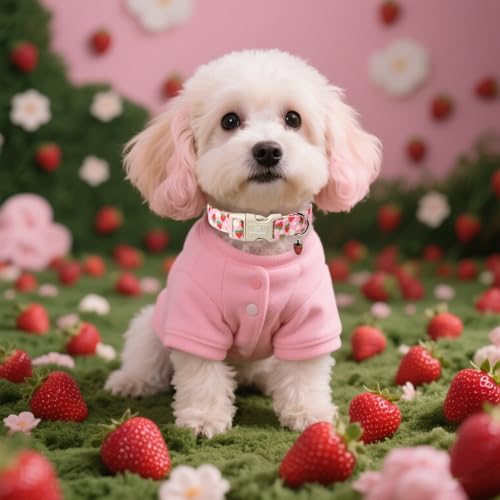 Maca Bates Pink Strawberry Basic Dog Collar for Extra Small Girl Boy Dogs with Cute Strawberry Charm,Strawberries Pattern, Adjustable Durable Soft Blueberry Birthday Gift Collars for Male Female Puppy