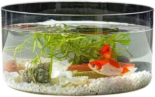 Vilom E AN e vX`bN eEEϗtAp CeAe e[uANAE _J ԕrEt[x[X fUC (lp,S)