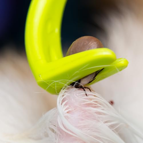 NatureAqua Zeckenzange, Zeckenhaken Zeckenentferner für Hund, Katze, Pferd & Menschen | 3er Set Zeckenhebe l Verschiedene Haken für alle Zecken-Größen | Schonende Zeckenentfernung in Sekunden | Grün