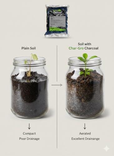 Image of Horticultural Charcoal for Potting Orchid /Succulent /Adenium /Terrarium, Ornamental Plants | Charcoal for Growing and Gardening Plants (2 KG)
