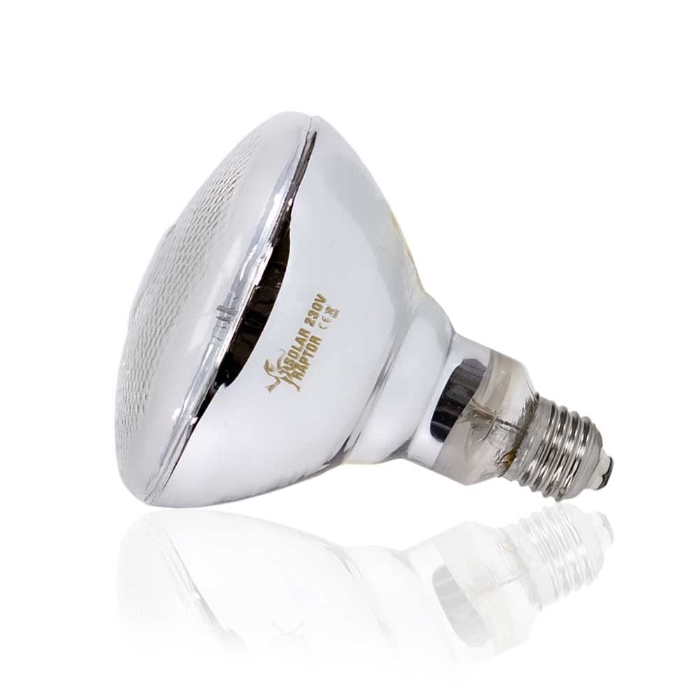 ECONLUX 160 W SolarRaptor MVL PAR38