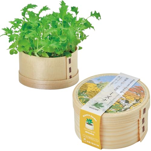 V| ʔN ƒ؉ ͔|Lbg ~Yi ̌a 5cm ~j ȒP Ă ͔|Zbg (R/H) L xm ̓ v[g a { GD-105003