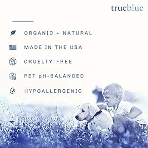   TrueBlue-Grapefruit-Chamomile-Fresh-in-a-Flash-Cleansing-Dog-Spray--Refreshes-Conditions-Coats-for-Dogs-Puppies-Cats--Moisturizing-Toxin-Free-Natural-Botanical-Blend--87-Fl-Oz