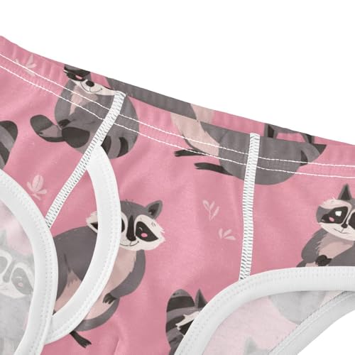 Wusikd Funny Raccoons Boys' Underwear Cotton Boys Briefs Soft Toddler Underwear 2T4