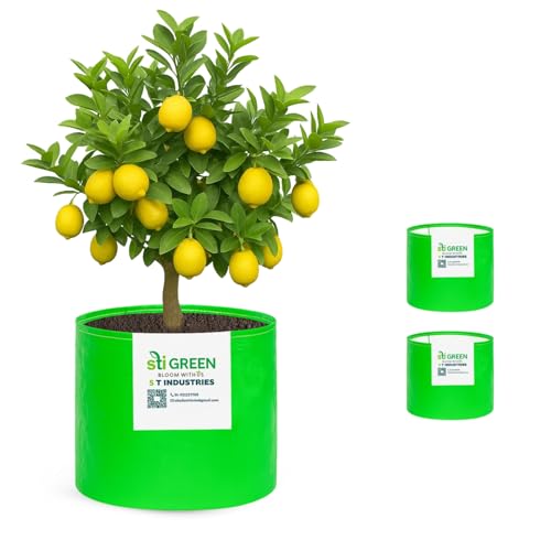 Image of HDPE Grow Bags for Plants 18X15 Inch (Pack of 3) | 260 GSM Heavy Duty UV-Protected Round Green Colour Plant Bags for Terrace and Vegetable Gardening | Strong & Reusable|