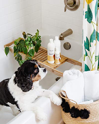 Combo-Pack-Martha-Stewart-Moisturizing-Shampoo-for-Dogs-with-Dry-Itchy-Skin-and-Nose-and-Paw-Lotion-Dog-Grooming-Supplies-Dog-Shampoo-Dog-Wash-Moisturizing-Dog-Bath-Supplies