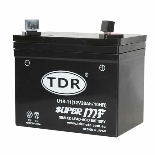 lawn mower batteries