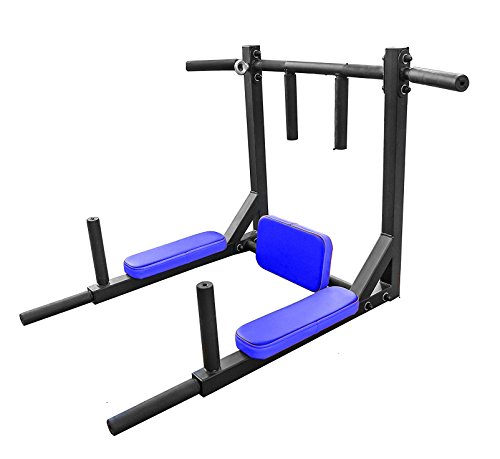 Dolphy Dips Bar, Pull Up Bar and Push Up Bar Wall Removable Model