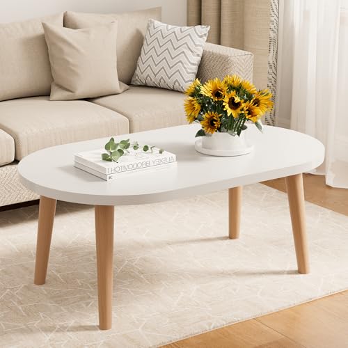Small Oval White Coffee Table with Solid Wood Legs