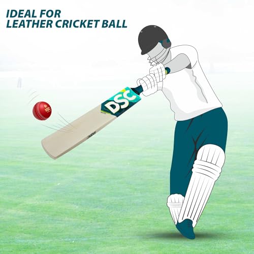 Image of DSC Belter Wood Kashmir Willow Cricket Bat Short Handle Mens (Multicolour)