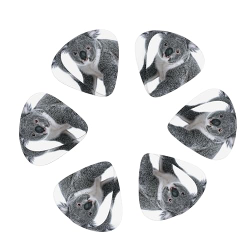 M^[sbN 12pbN ChJE\vg M^[sbNz_[ p[\iCYꂽM^[sbN AR[XeBbNM^[ oCI EN x[X