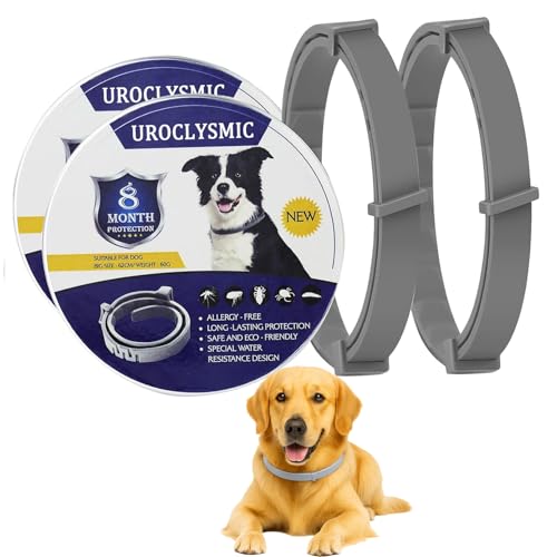 Impermeabile e durevole: i nostri collari per cani sono completamente impermeabili e particolarmente resistenti. Il vostro cane rimane protetto anche in caso di pioggia, nuoto o durante il bagno: non c'è bisogno di togliere il collare per un comfort continuo.