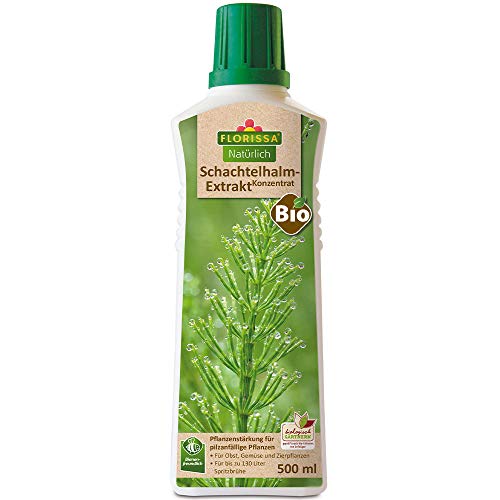 Florissa Natürlich Bio Schachtelhalm Extrakt Konzentrat | zur Vorbeugung von Pilzbefall bei Obst, Gemüse und Zierpflanzen | vorbeugend gegen Mehltau, Sternrußtau, Schorf, Grauschimmel, Krautfäule